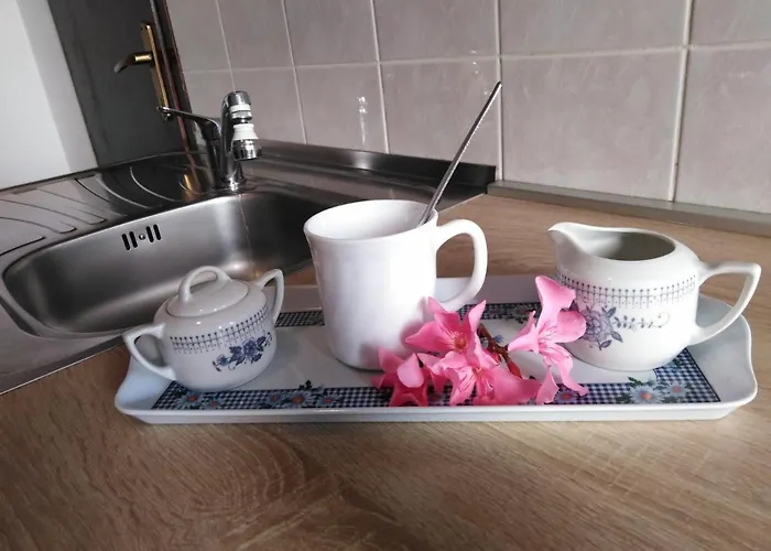 Erika Appartement Pula